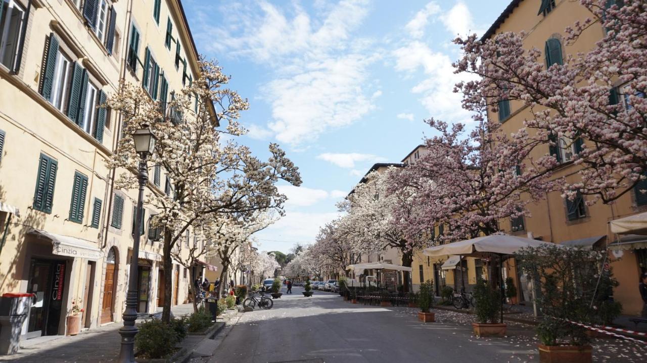 Apartmán A Casa Di Irene Lucca Exteriér fotografie